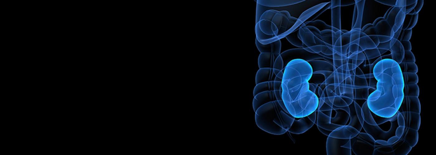 Renal Baxter Professional Asia Pacific